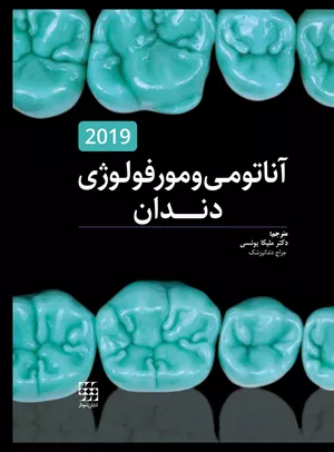 کتاب آناتومی و مورفولوژی دندان 2019