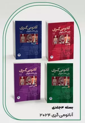 بسته 4 جلدی آناتومی گری برای دانشجویان 2024