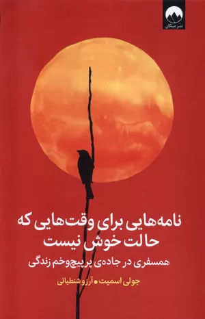 کتاب نامه‌هایی برای وقت‌هایی که حالت خوش نیست