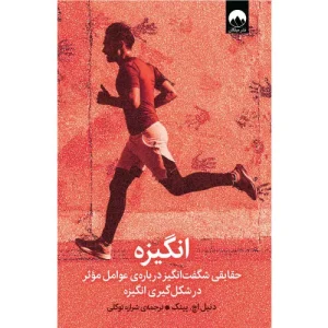 خرید کتاب انگیزه دنیل پینک