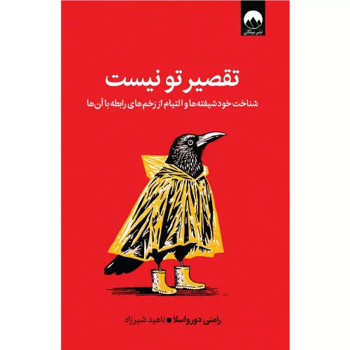 کتاب مقصر تو نیستی اثر رامنی دورواسلا