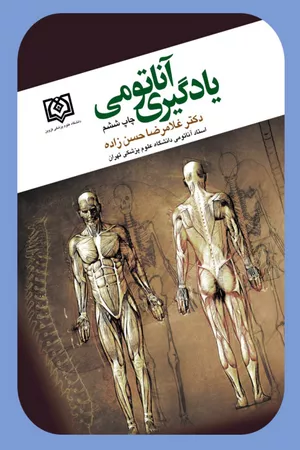 خرید کتاب یادگیری آناتومی دکتر حسن زاده