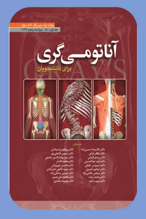 خرید کتاب آناتومی گری 2024 جلد اول تنه ترجمه حسن زاده