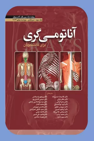 خرید کتاب آناتومی گری جلد 2 سر و گردن ترجمه حسن زاده