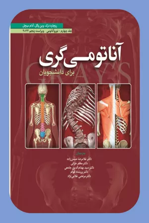 خرید کتاب آناتومی گری نورو آناتومی ترجمه حسن زاده