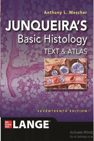 Junqueira’s Basic Histology 2024
