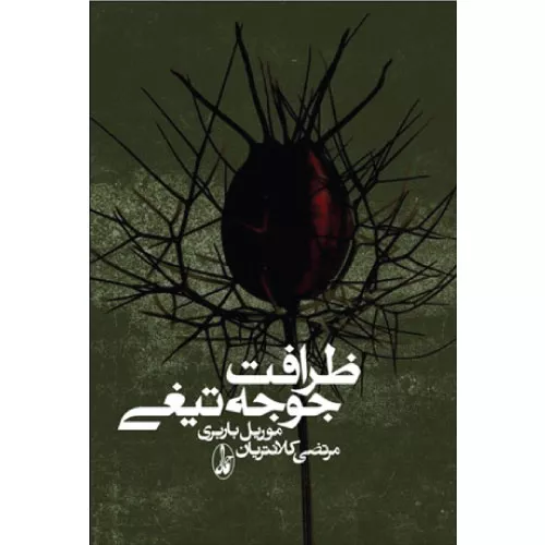 خرید کتاب ظرافت جوجه تیغی